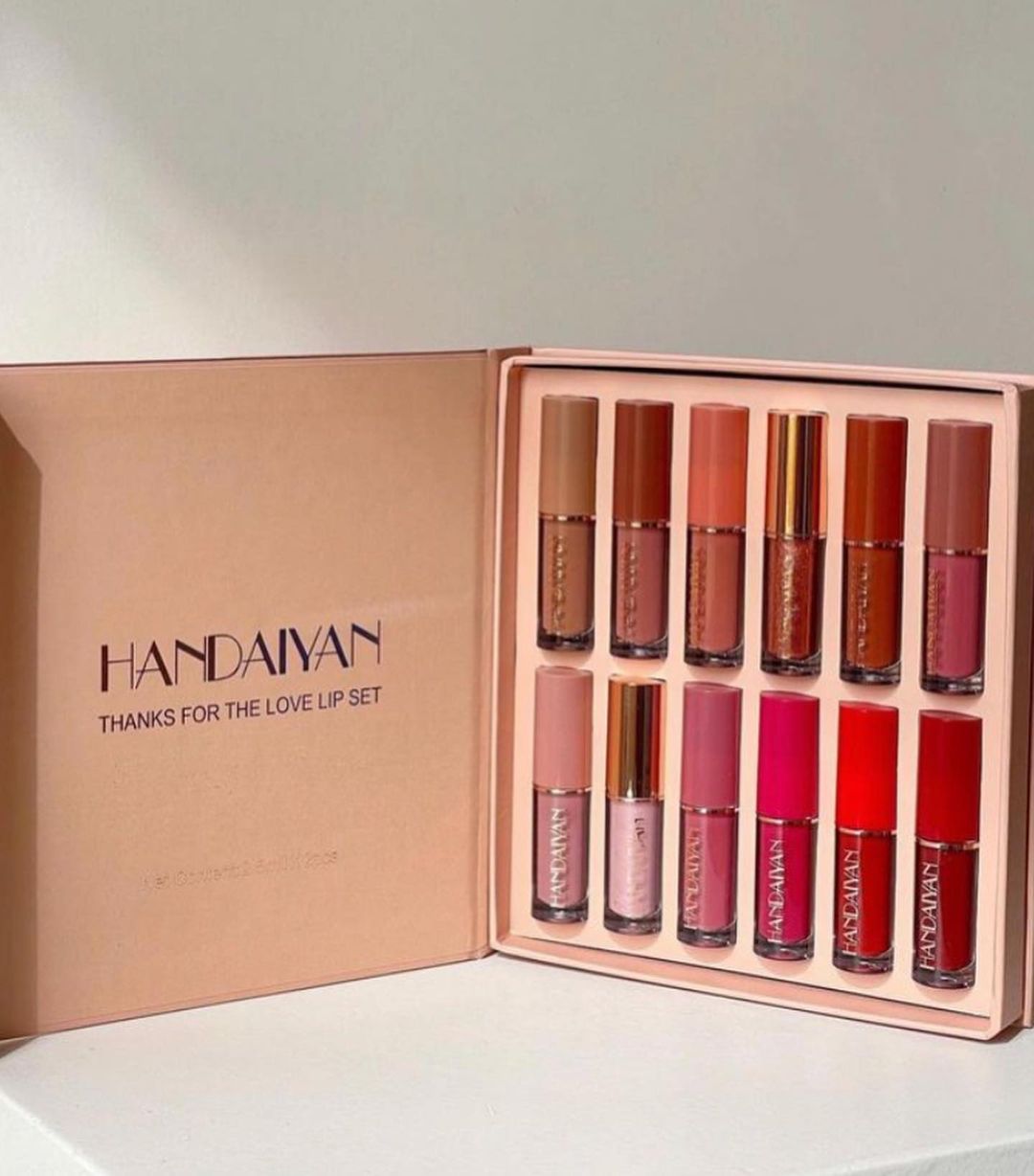 HANDAIYAN 12 pcs Matte Liquid Lipstick Box